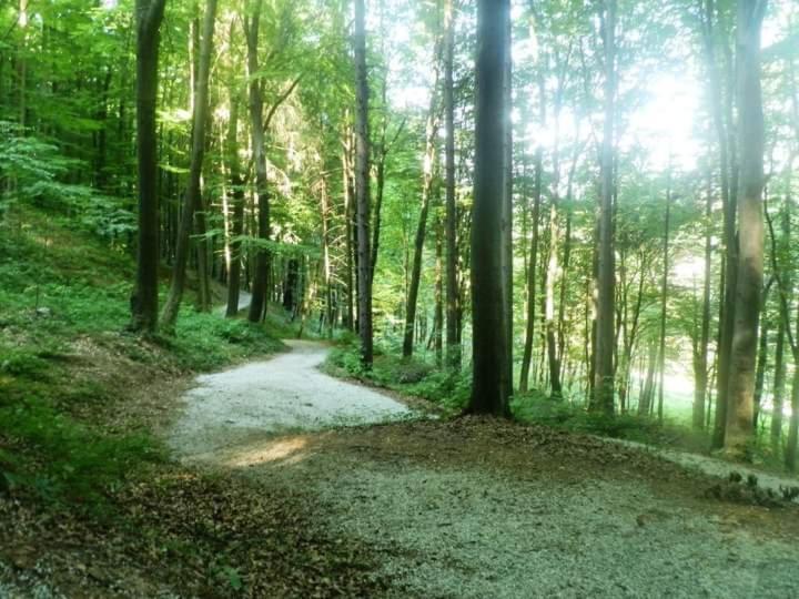 Apartmani Ramonda Teslić Exteriér fotografie